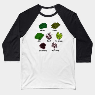 Illustrated Types of Edible Seaweed Baseball T-Shirt